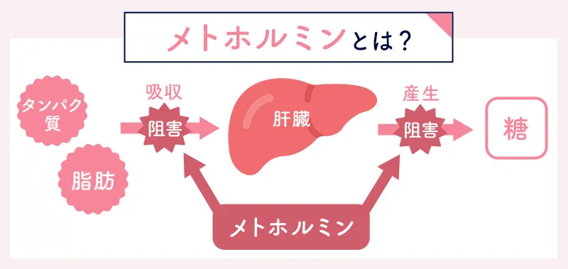 メトホルミンとは