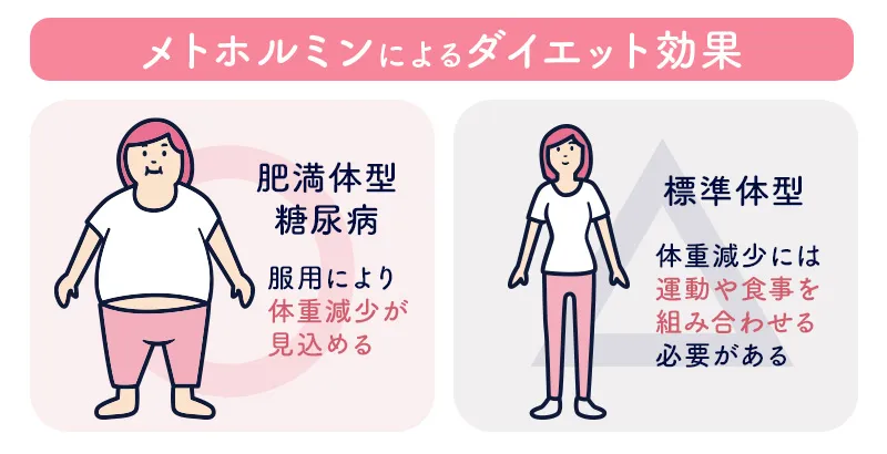 メトホルミンにのダイエット効果に関する医学的根拠