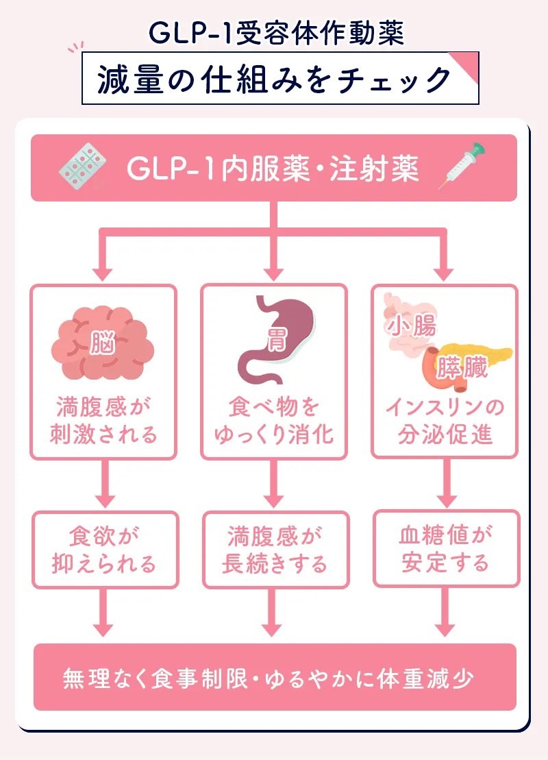 GLP-1受容体作動薬で痩せる仕組み