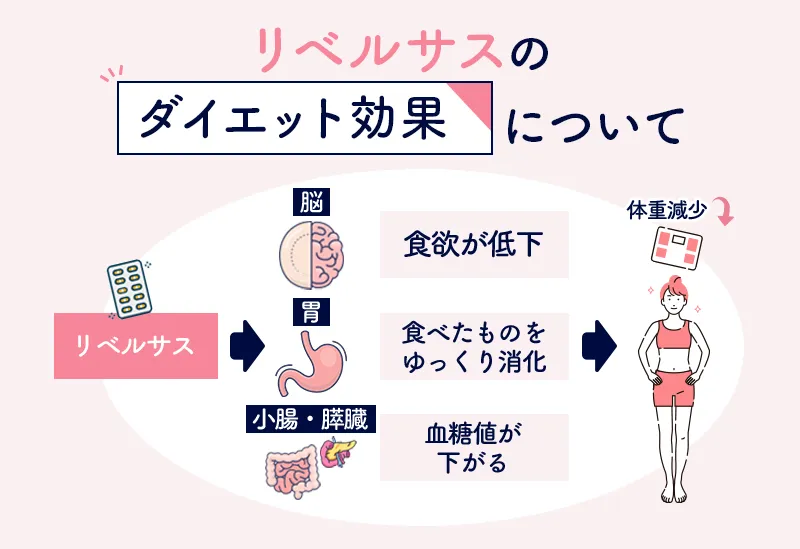 リベルサスのダイエット効果