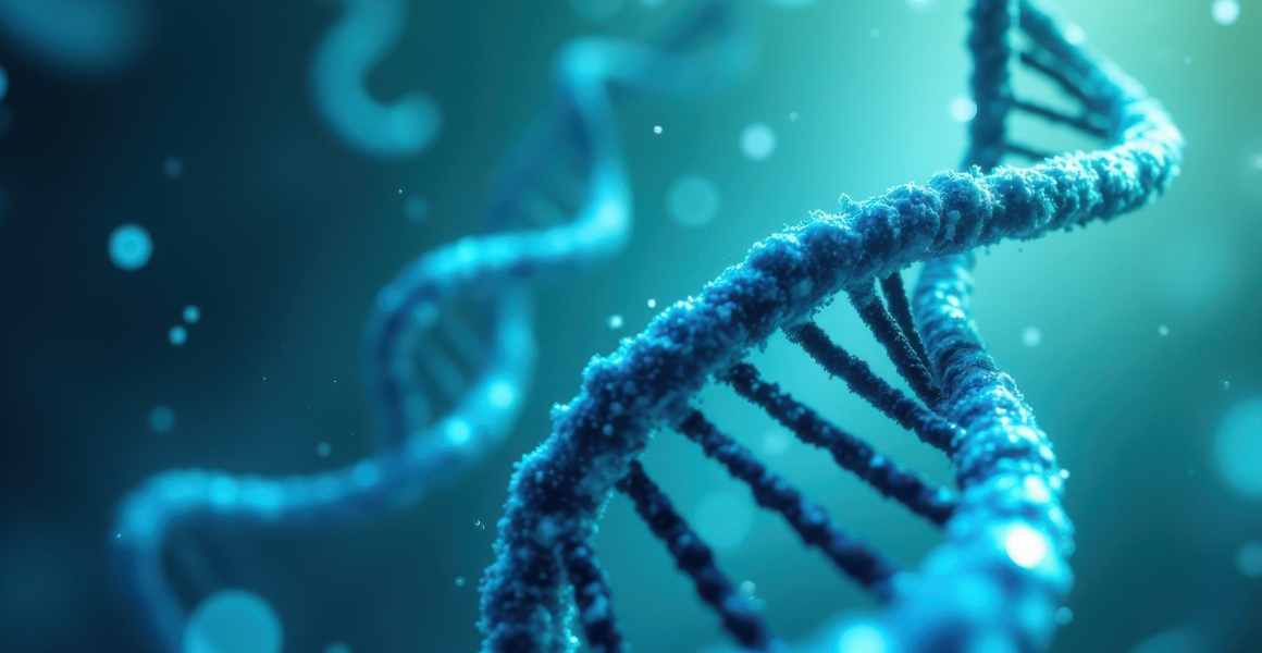 従来の痩身機器｜EMS(Electrical Muscle Stimulation)