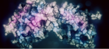 10 ( Interleukin 10 )