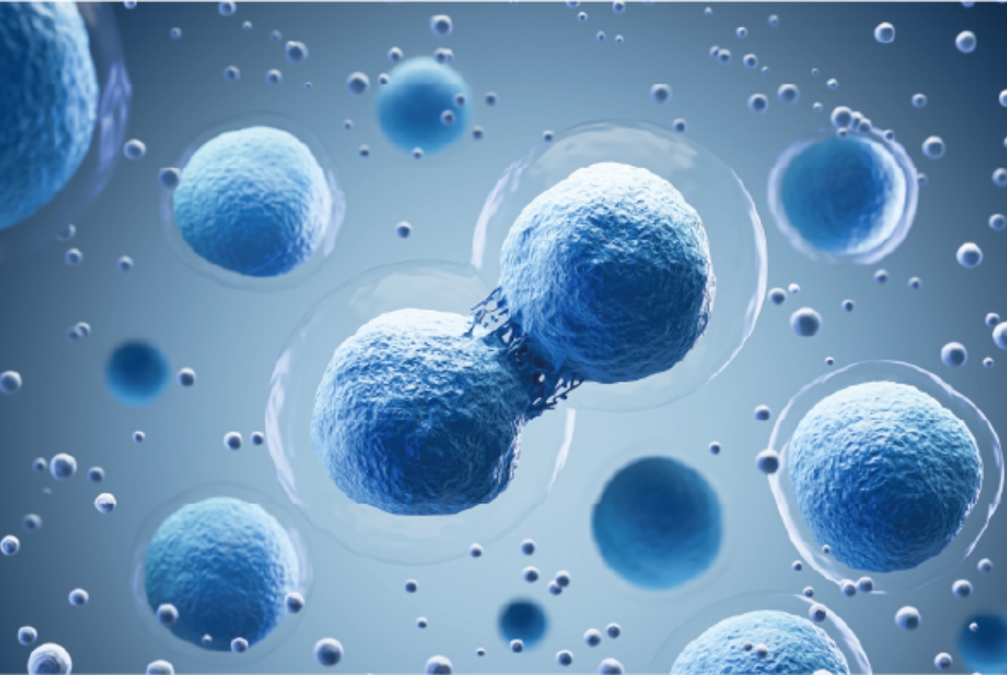 04：細胞再生医療