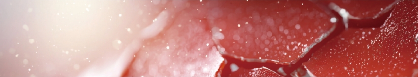 若肌を維持するための３つのアプローチ 3