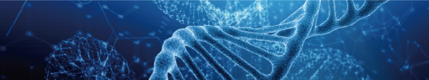 若返りの為の３つのアプローチ 1